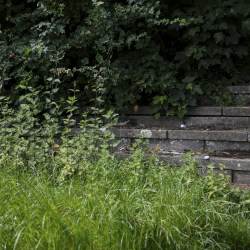 Werner Lehmann Stadion