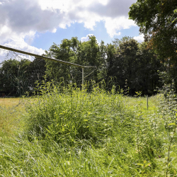 Werner Lehmann Stadion