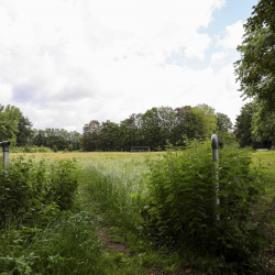 Werner Lehmann Stadion