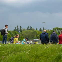 Westkampfbahn - 1. FC Düren