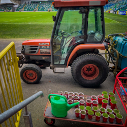 Windsor Park - Linfield FC