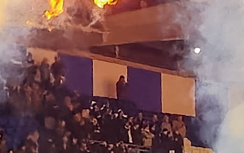Brighton & Hove Albion
