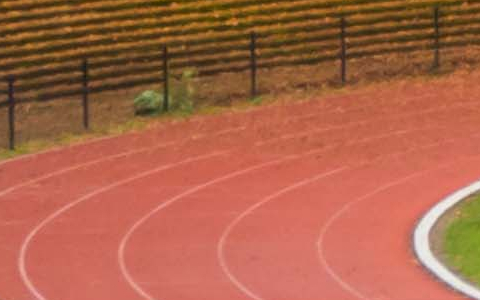 Drie Lindenstadion