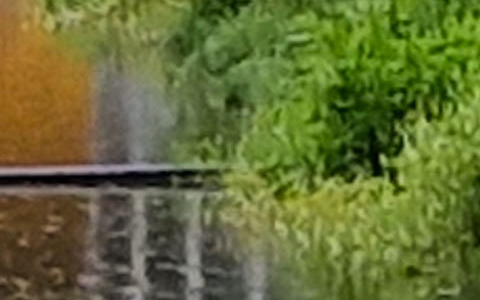 RFC Wetteren