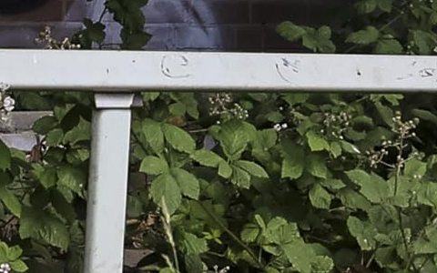 Werner Lehmann Stadion