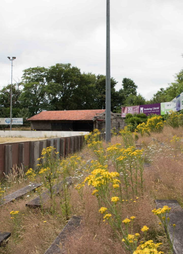 Sportpark Veenoord - SV Twedo