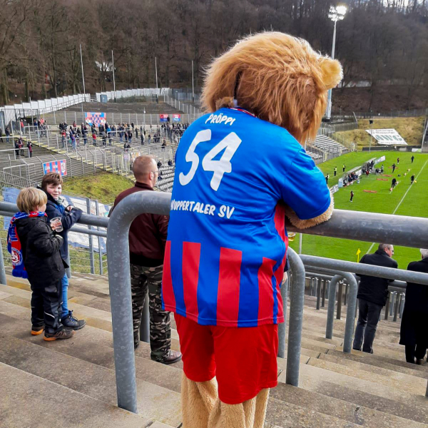 Stadion am Zoo - Wuppertaler SV