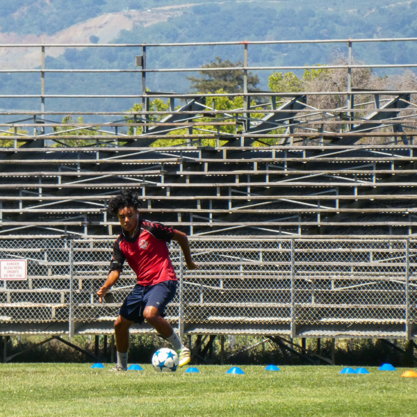 Sunnyvale Soccer Complex - Sunnyvale Alliance Soccer Club