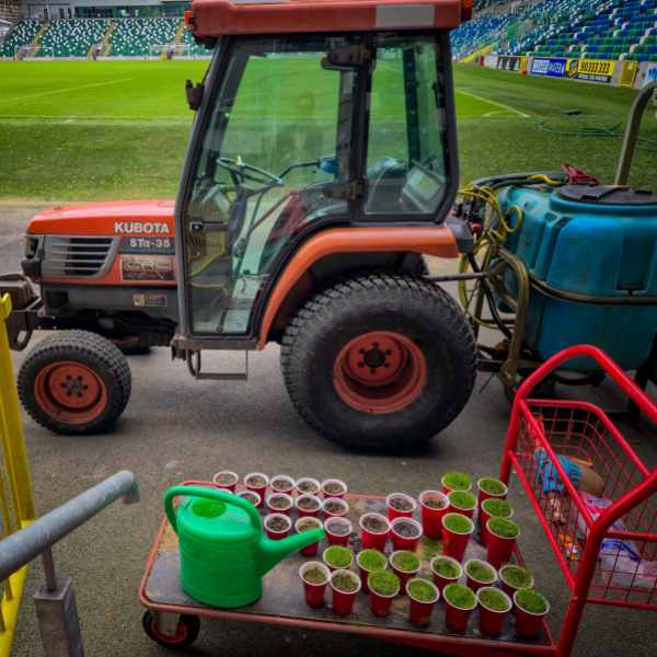 Windsor Park - Linfield FC